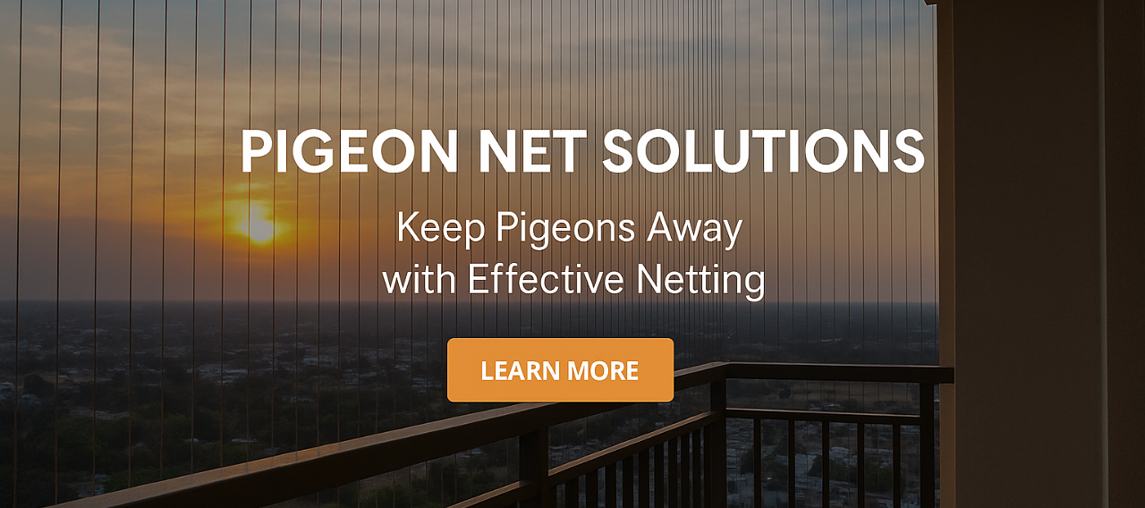 sunset pigeon net soultions